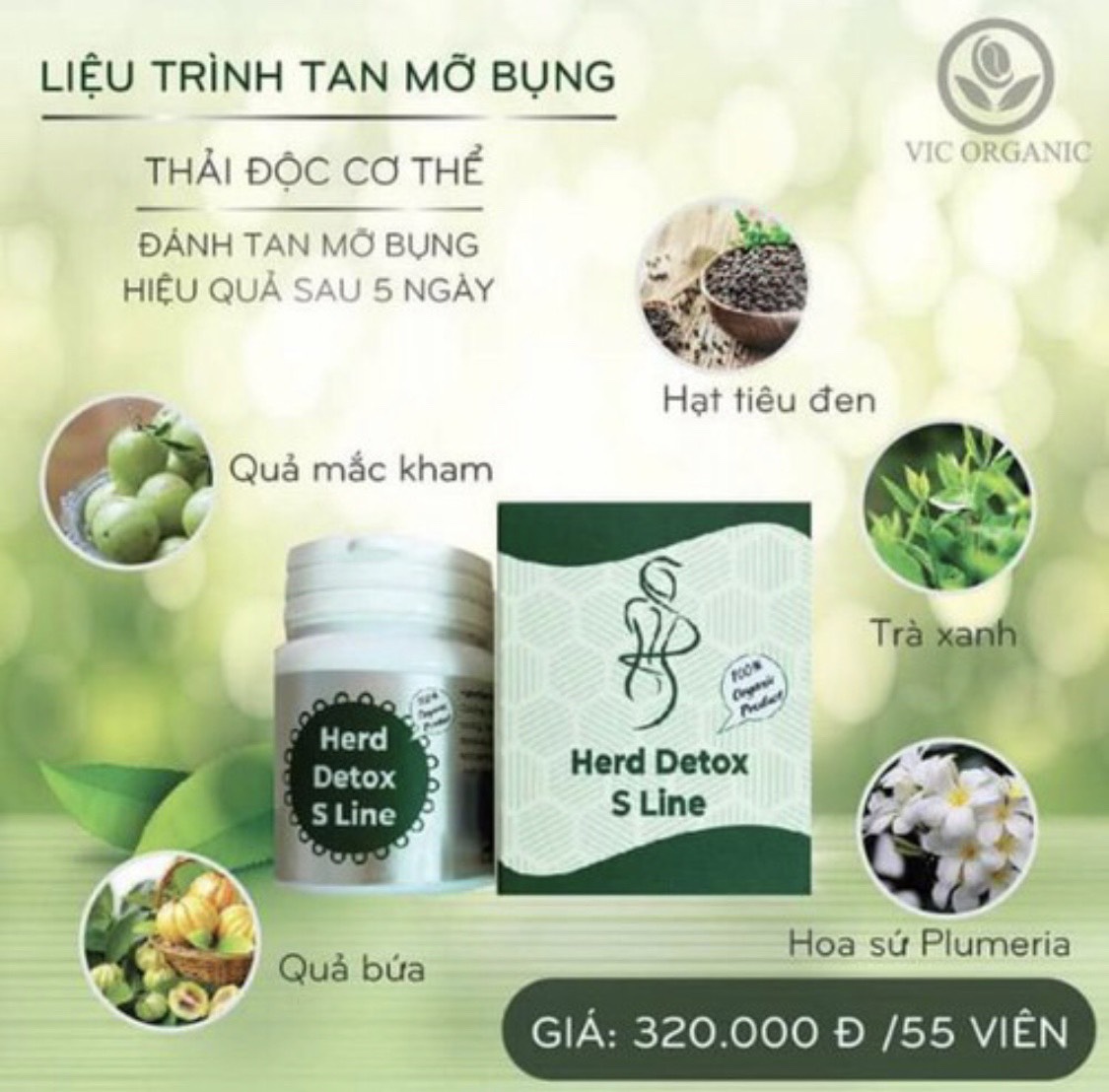 [HCM]GIÃM CÂN DETOX S LINE + 1 VIT-C