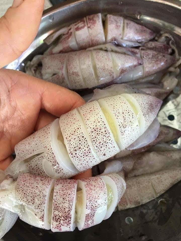 Egg Squid 1kg Net 7 Sizes 20 Pieces (Delivery in Ho Chi Minh City)