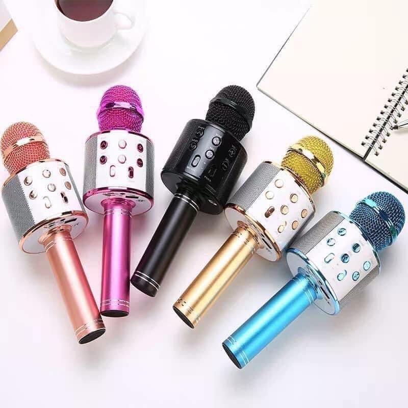 [HCM]Mic karaoke 858