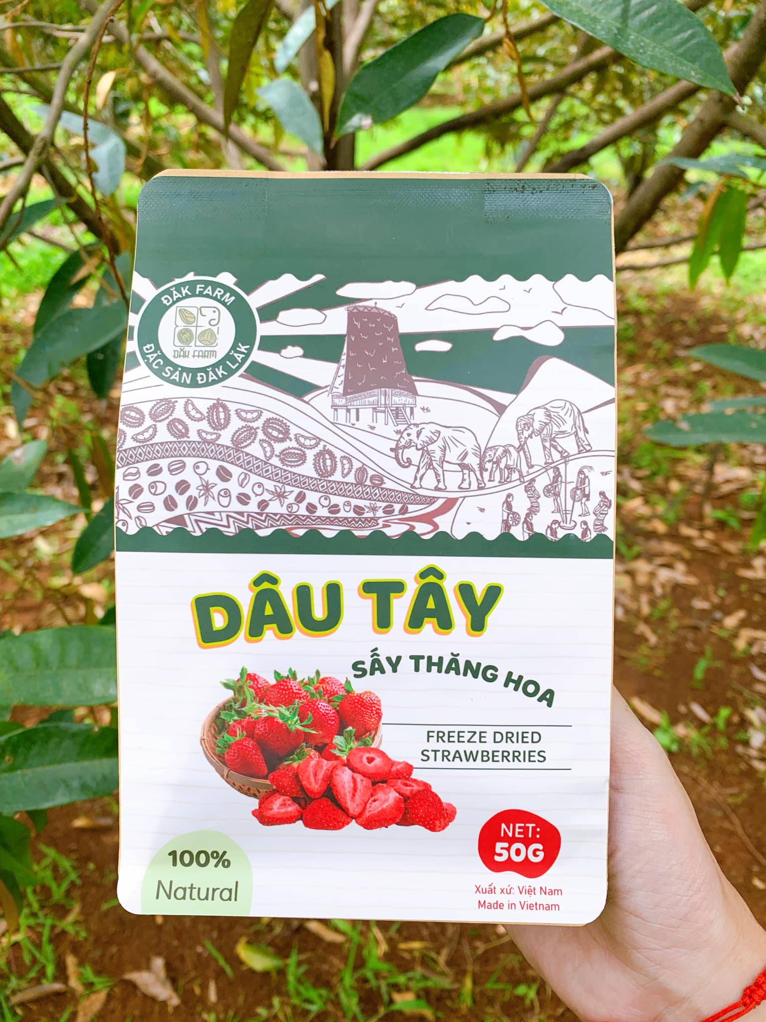 DÂU TÂY SẤY THĂNG HOA - ĐẮK FARM