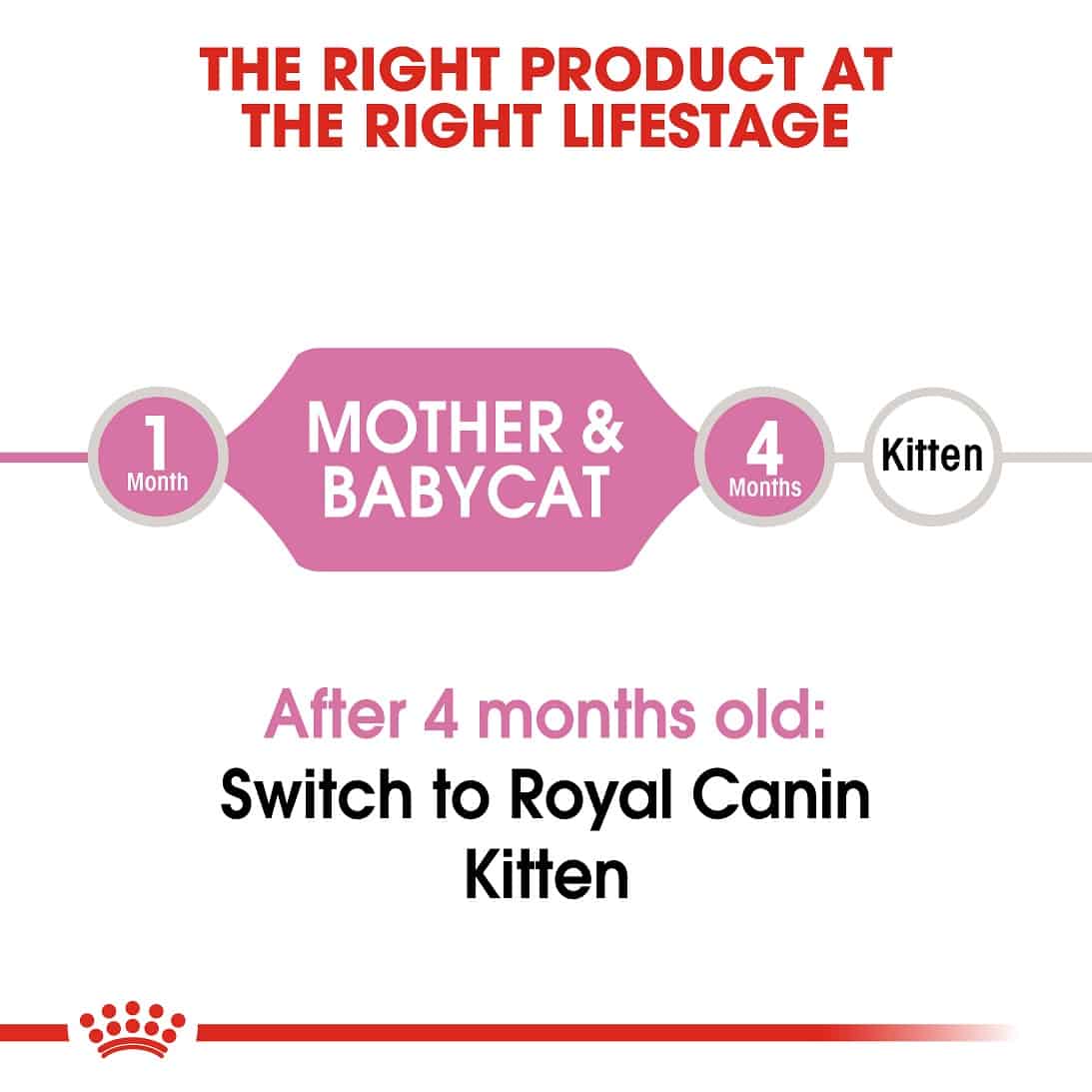 [400g/2kg/4kg] Hạt Cho Mèo Royal Canin Mother & Baby