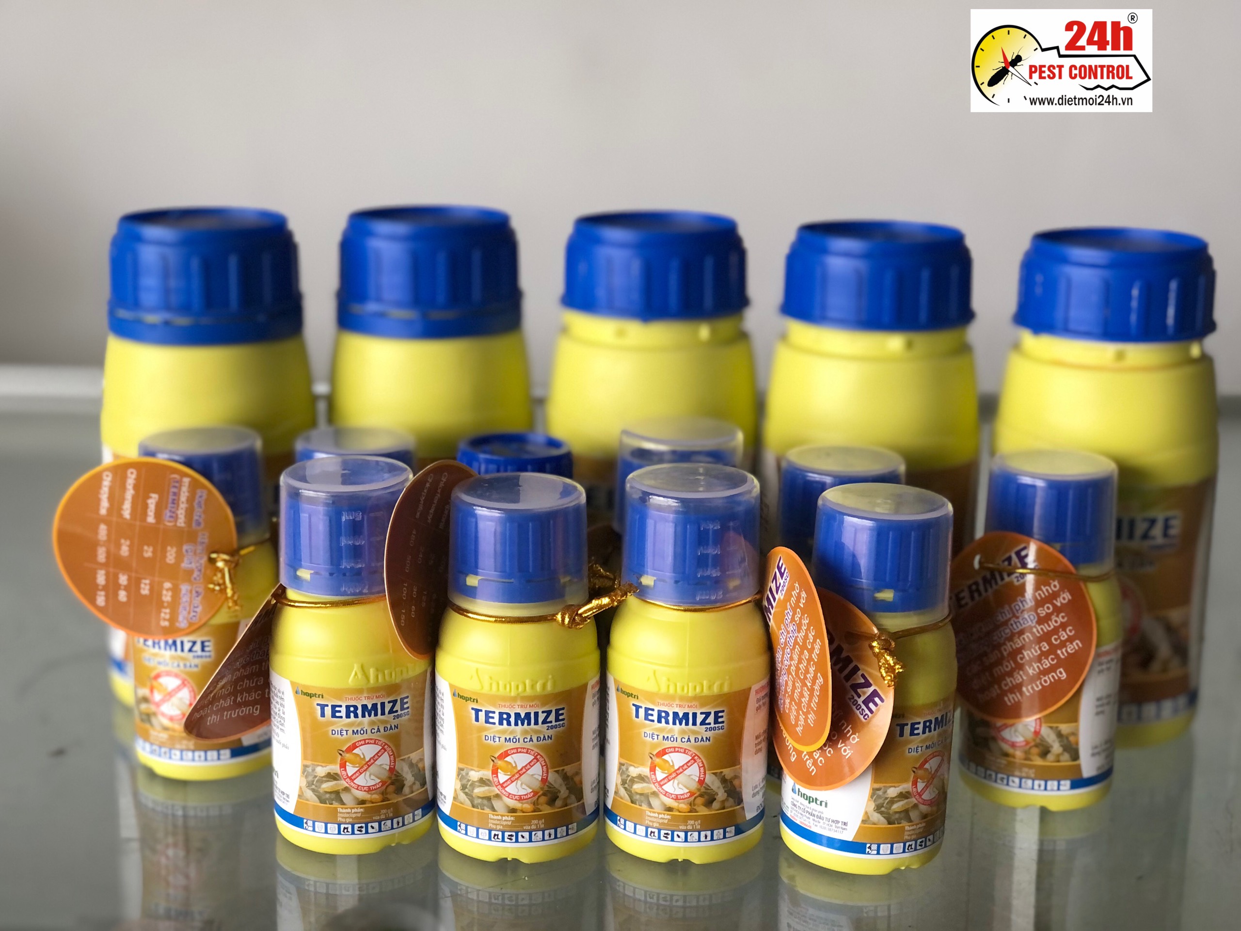 Thuốc diệt mối thế hệ mới Termize diệt mối cả đàn hiệu quả chai 50ml