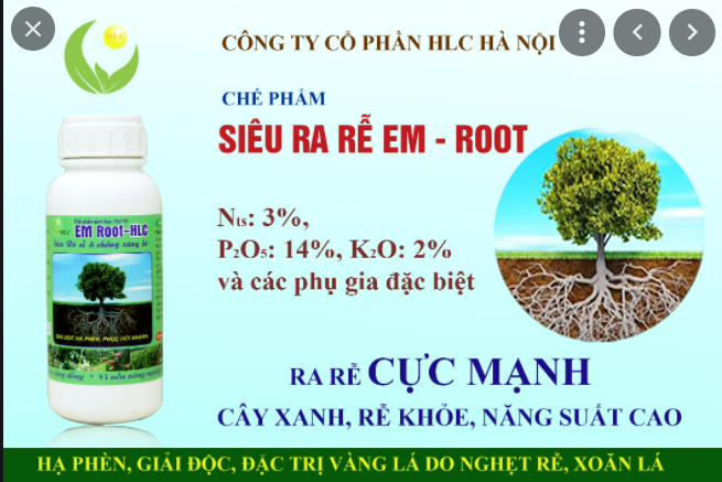 Chế Phẩm Sinh Học Siêu Ra Rễ Em - Root Hlc Chai 500ml