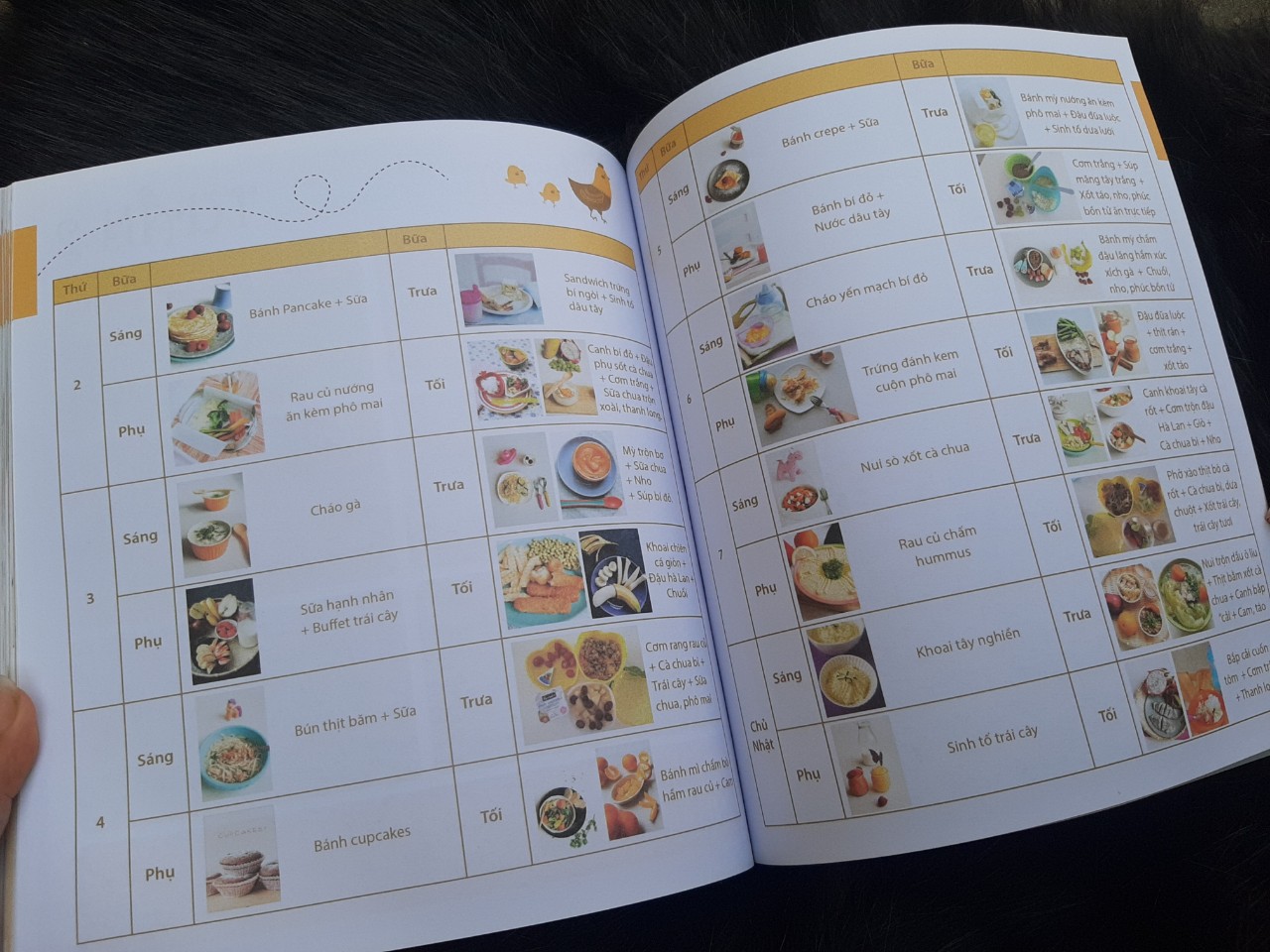 Sách - Ăn dặm không phải là cuộc chiến.
