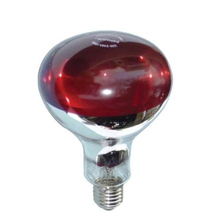 Bóng đèn Hồng ngoại sưởi ấm Thú y cao cấp 100W + Đuôi sứ