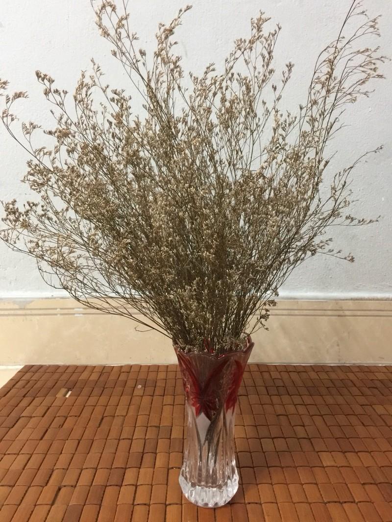 BÌNH HOA THỦY TINH CAO CẤP - BÌNH CAO 20cm - TIỆN DỤNG