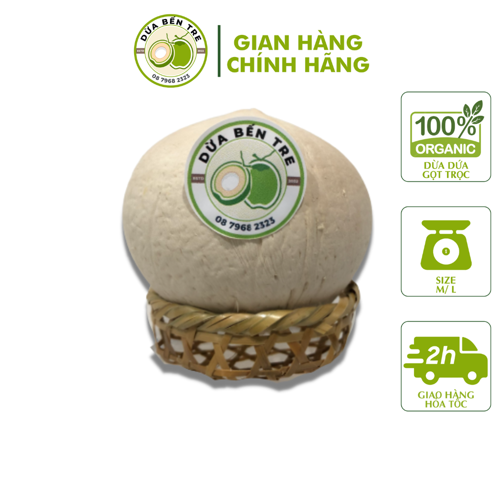 [HCM - HỎA TỐC] COMBO 20 TRÁI DỪA BẾN TRE GỌT TRỌC
