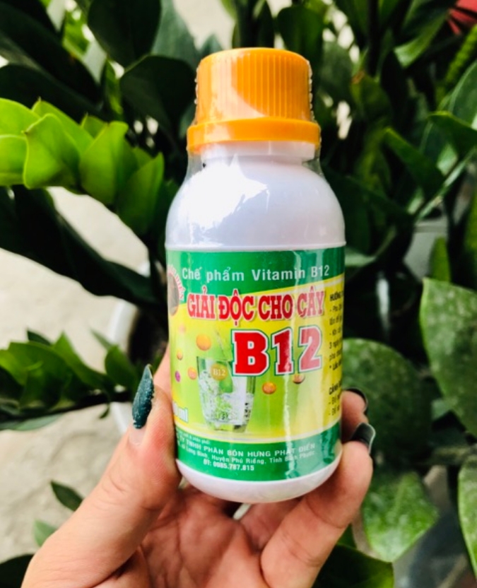 Chế phẩm Vitamin B12 - Giải độc cho cây (100ml)