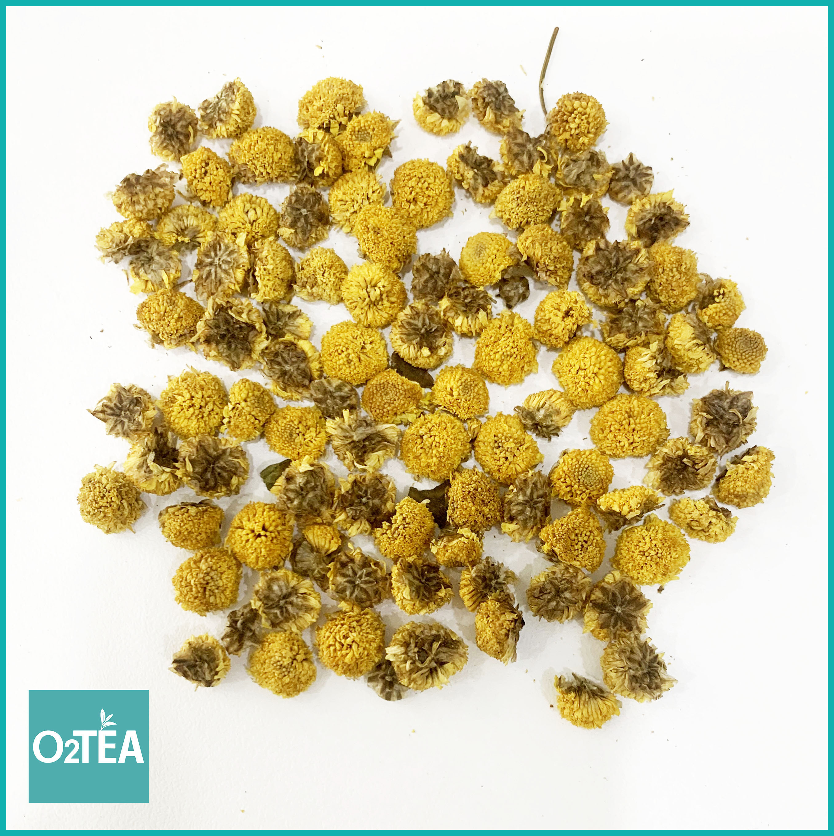 Trà Cúc Chi 100g Túi Zip - Trà O2 TEA (Chrysanthemum tea)