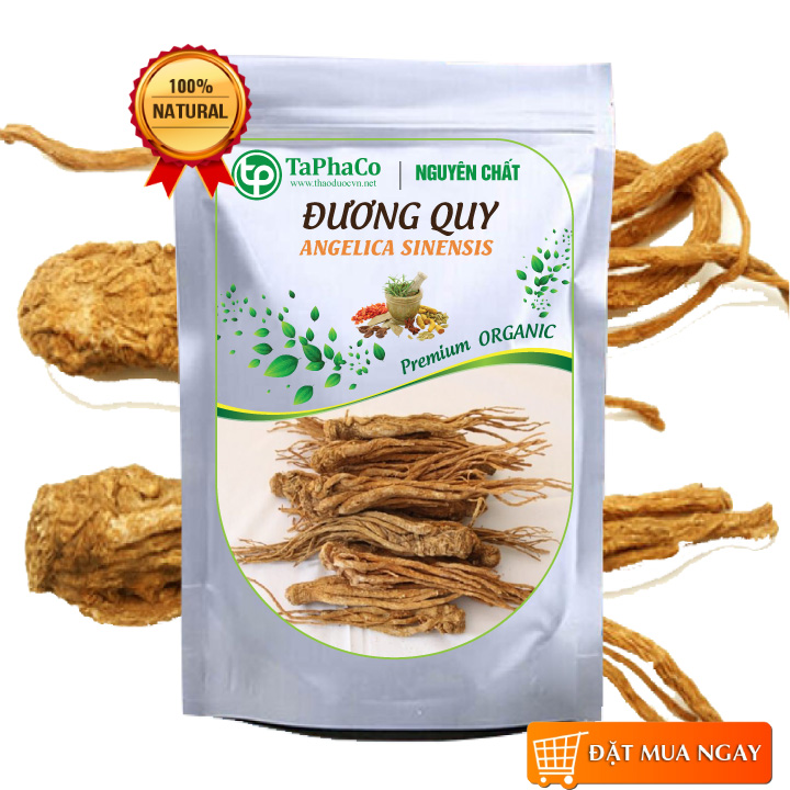 Đương quy sấy khô 500g - Hàng công ty chất lượng cao