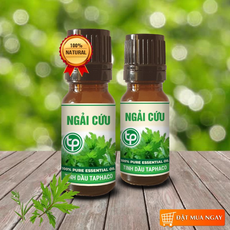 Tinh dầu ngải cứu nguyên chất 10ml - Thảo Dược Tấn Phát
