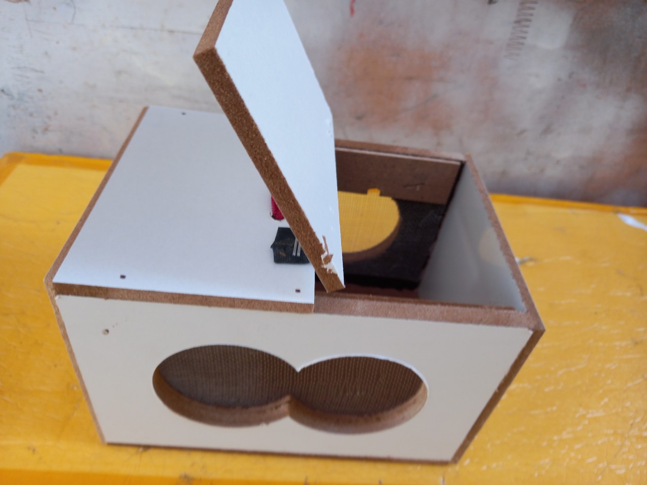 Hộp Chứa Dế , Cào Cào Cho Chim Ăn