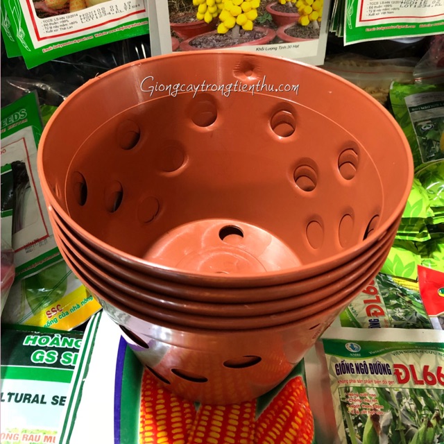 5 CHẬU NHỰA TRỒNG LAN GIẢ GỐM ĐẤT NUNG (Phi 20)