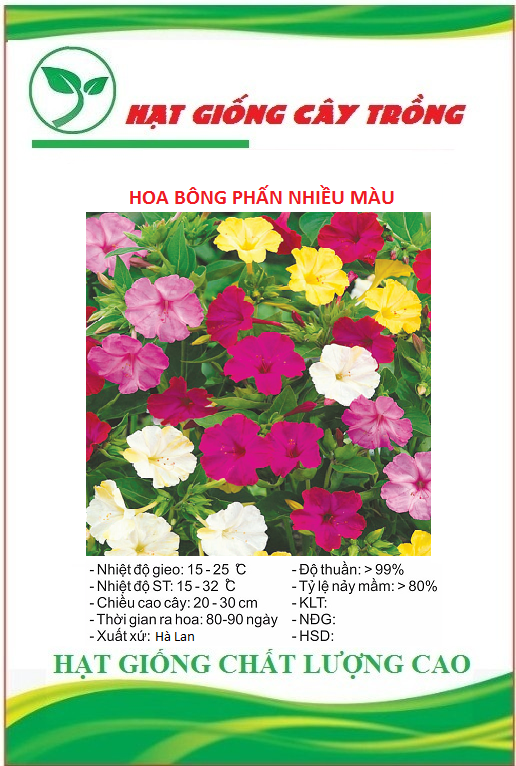 Hạt giống hoa bông phấn nhiều màu - gói 10 hạt