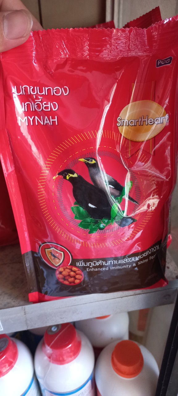 Sao nhồng thức ăn cay, mau nói chuyện, nhập thái. combo 5 gói