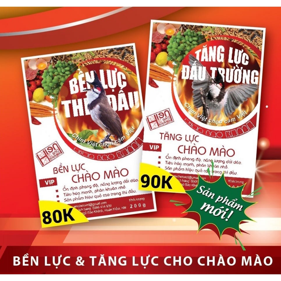 Hội thi chim Chào mào hót đấu - Siêu cúp Việt Nam 2019