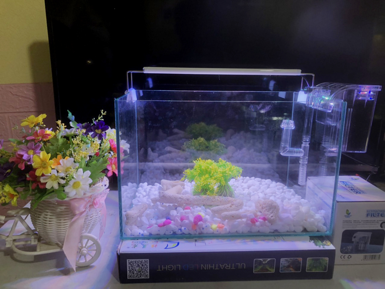 Hồ cá, bể cá full combo 6 món phụ Kiện D38 R20 H20
