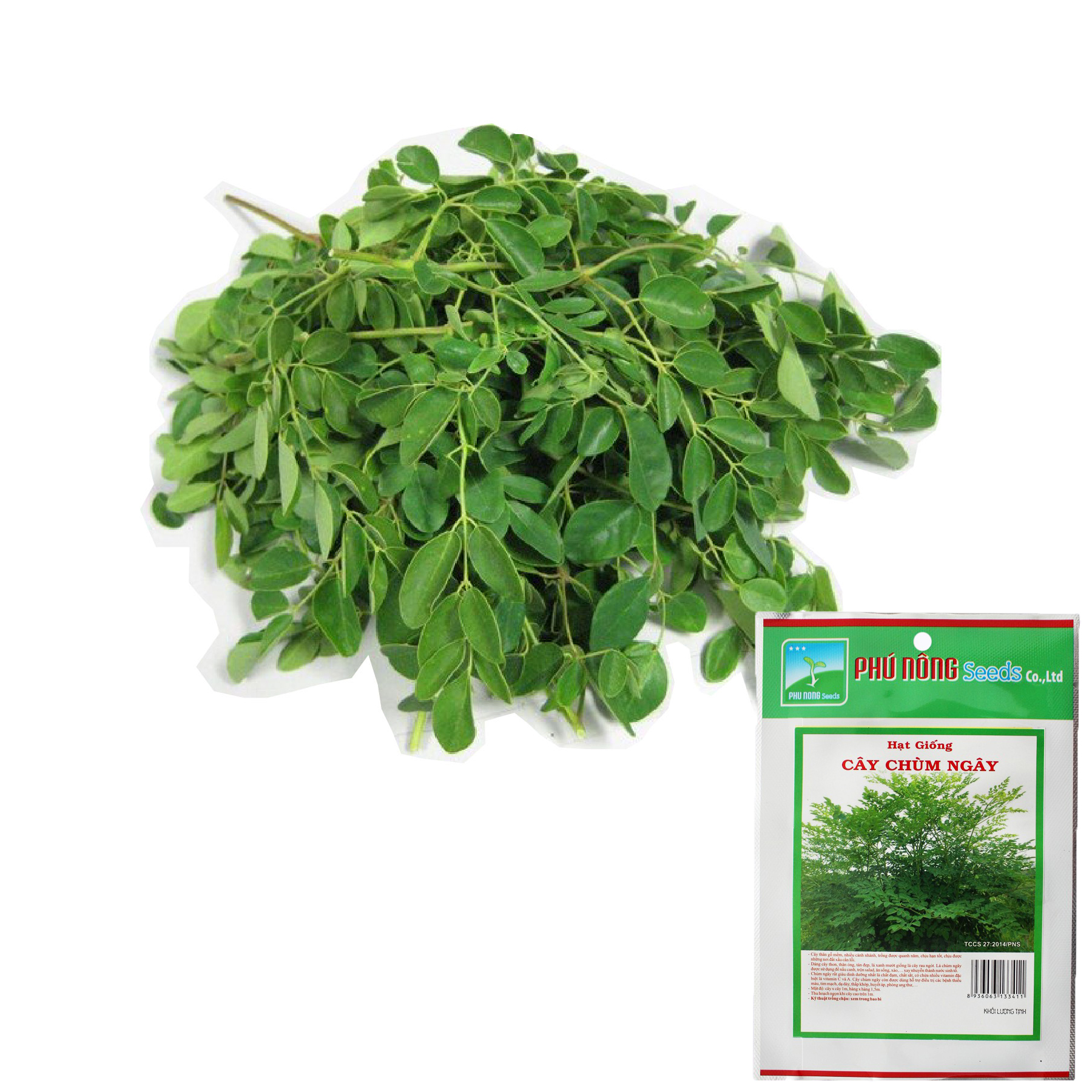 Hạt giống Cây chùm ngây - Gói 1g - Nảy Mầm Nhanh Sinh Trưởng Mạnh