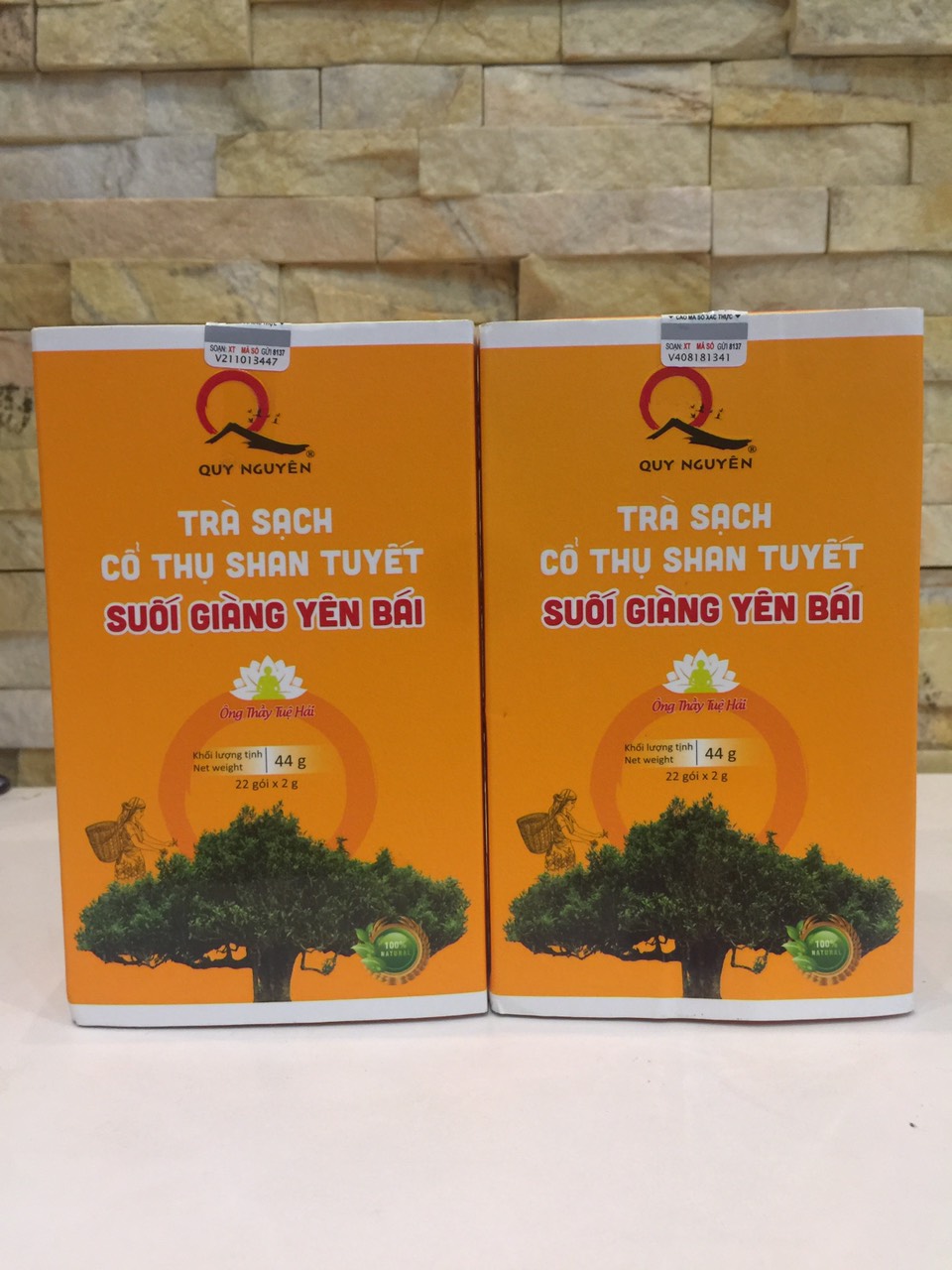 TRÀ CỔ THỤ SAN TUYẾT (TRÀ BAN CHA) QUY NGUYÊN (Túi lọc, 22 gói/hộp)