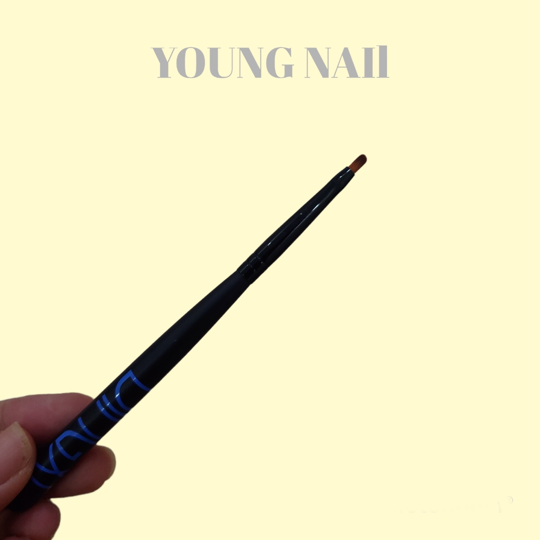 cọ vẽ hoa cúc Dingxi