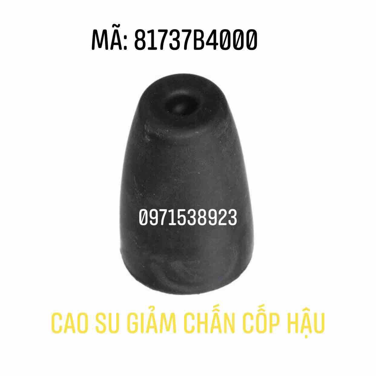 Cao su đệm chính hãng KIA HUYNDAI 81737B4000