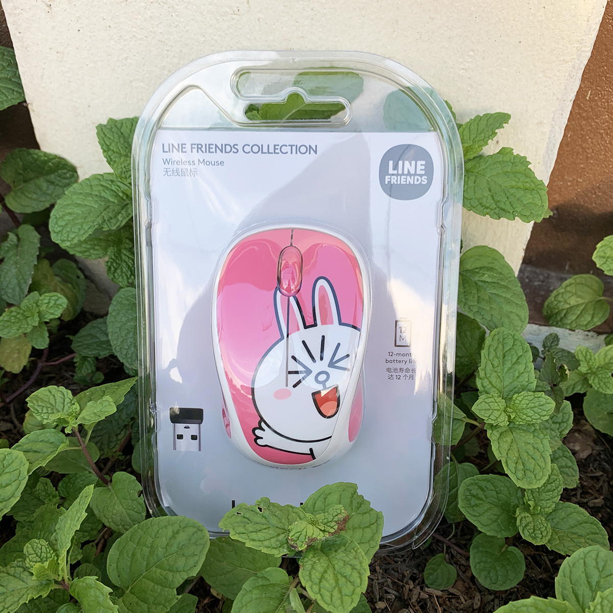 Chuột Logitech Line Friends không dây