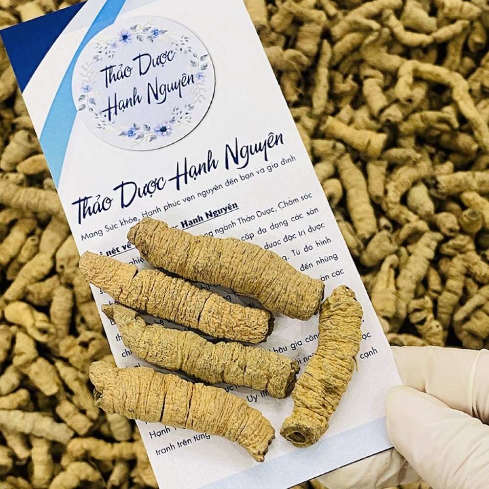 Ba Kích Tím Quảng Ninh 100g (Đã Tách Lõi)
