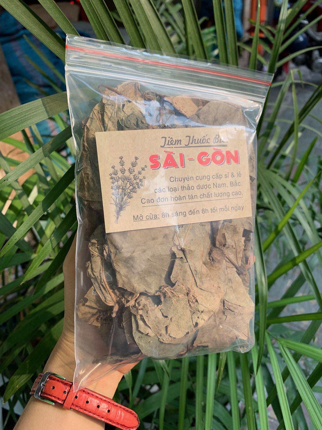 [HCM]LÁ VÔNG NEM 500Gram Tiệm Thuốc Bắc Sài Gòn
