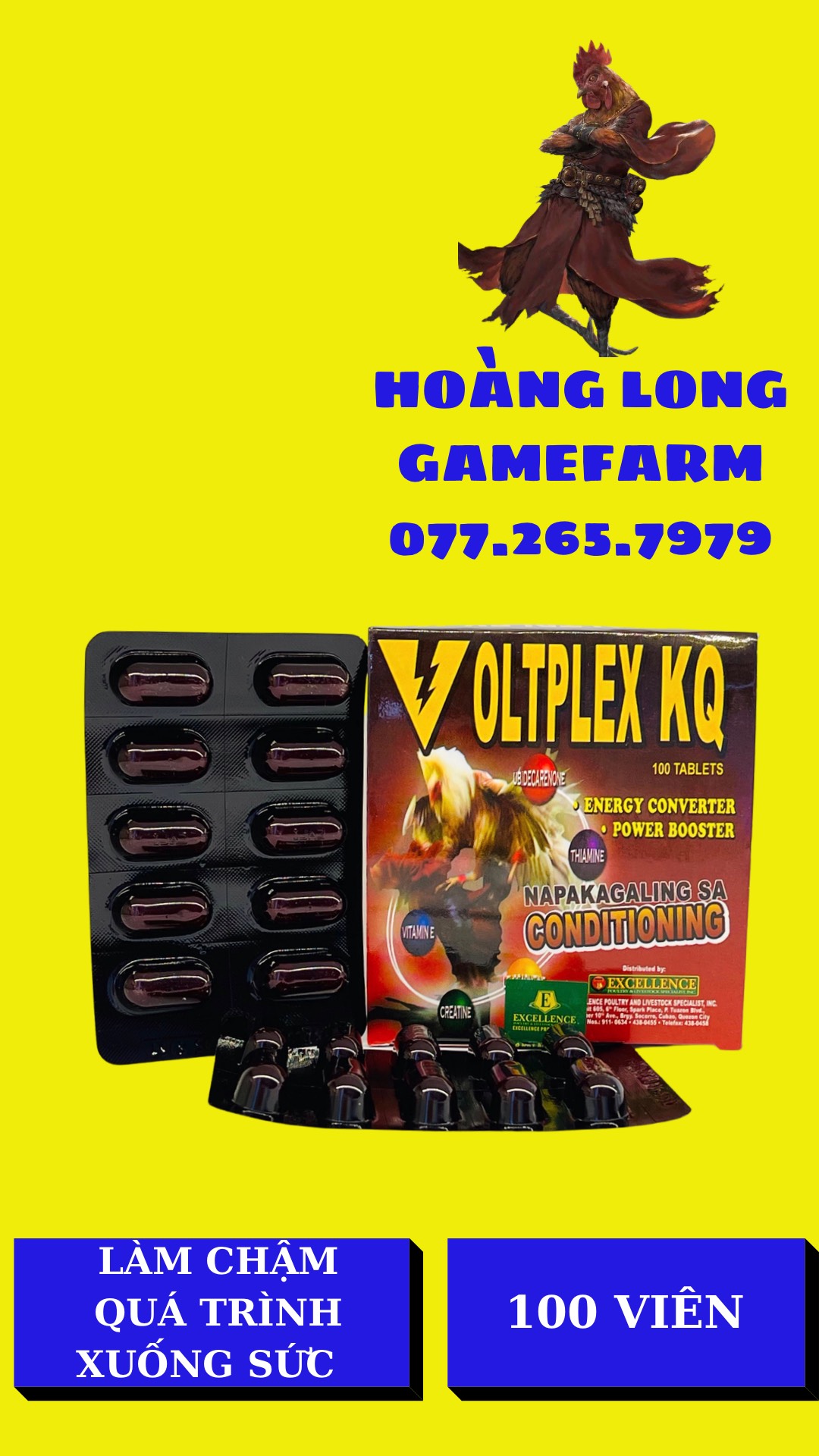 VOLTPEX KQ .Volplex KQ hộp 100 viên