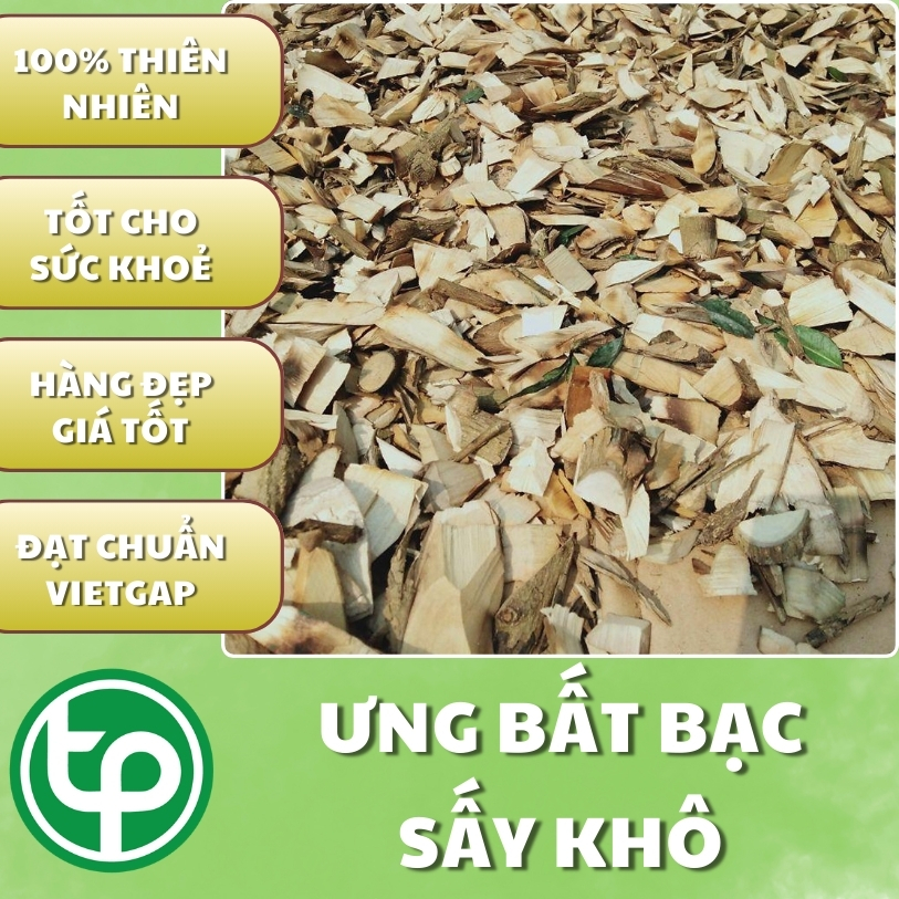 [Hàng mới nhập] Ưng bất bạc khô 500g - Tấn Phát - Chuyên dùng để sắc nước uống hoặc pha trà