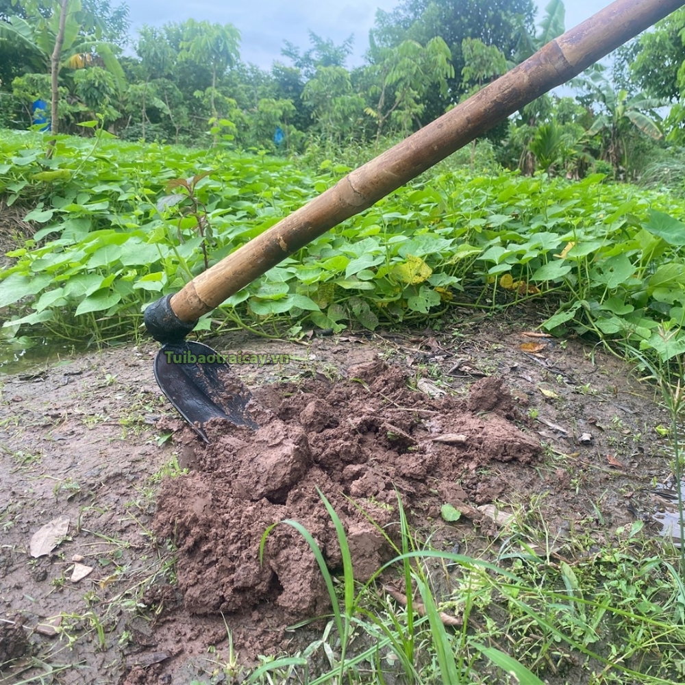 Cuốc đất, cuốc đào đất không cán