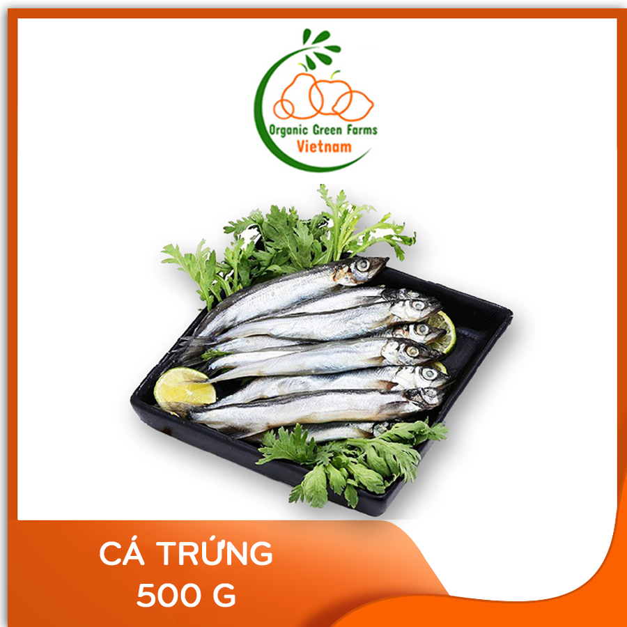 [OGF] - Cá trứng loại 60-70% trứng (500 Gr/Bao) - [ Giao nhanh 4h HCM ]