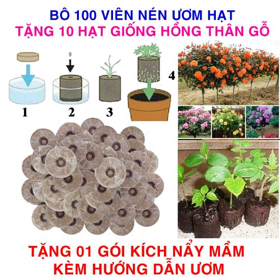 Bộ 100 viên nén ươm hạt (tặng 10 Hạt giống Hoa hồng thân gỗ + Kích thích nẩy mầm, Hướng dẫn)