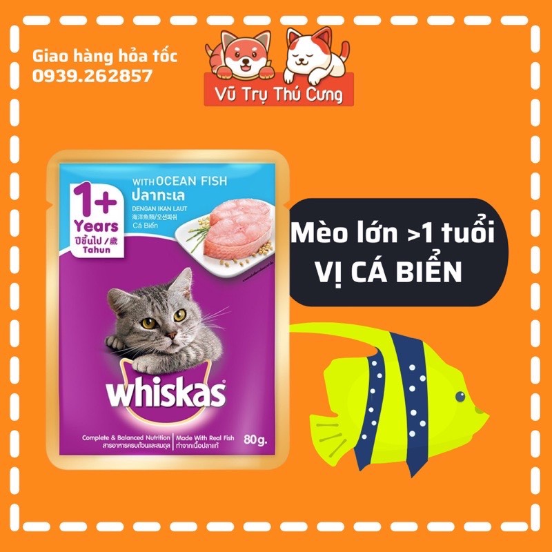 Pate Whiskas 80g plus cat nutrition feeder for cats and kittens