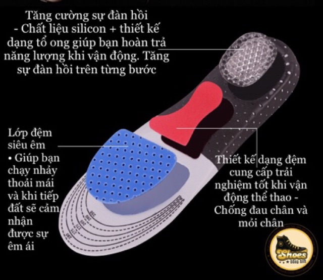 Combo 2 Miếng lót giày thể thao cao cấp