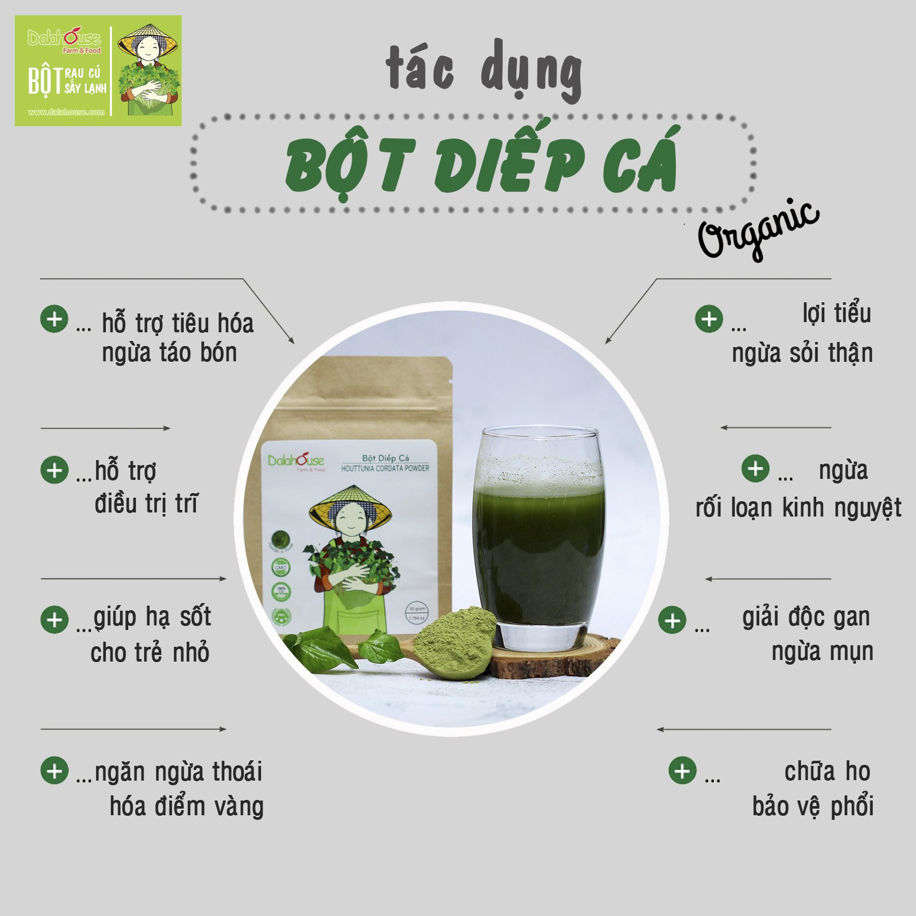 Bột Diếp Cá Dalahouse Hữu Cơ Sấy Lạnh Nguyên Chất