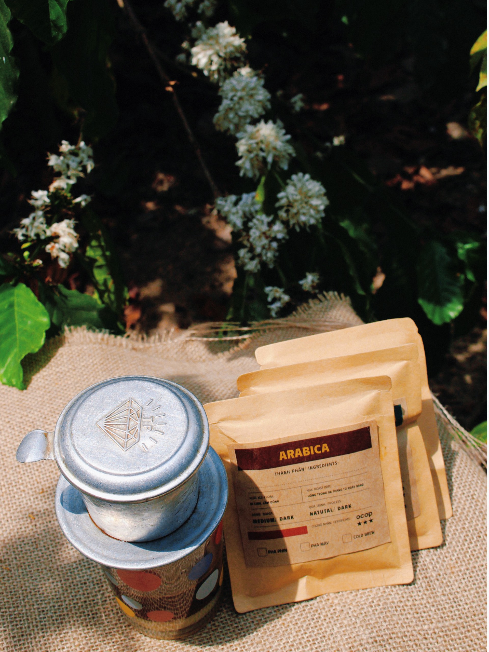 Cà phê Phin Giấy Tiện Lợi Drip Bag Coffee - 6Thọ Coffee