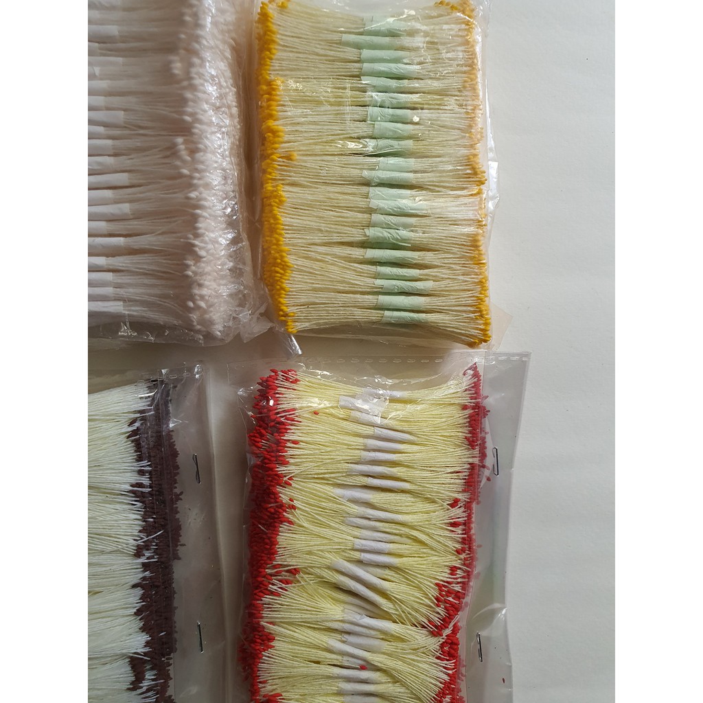 NHỤY HOA (NHỤY CHỈ) đầu nhỏ