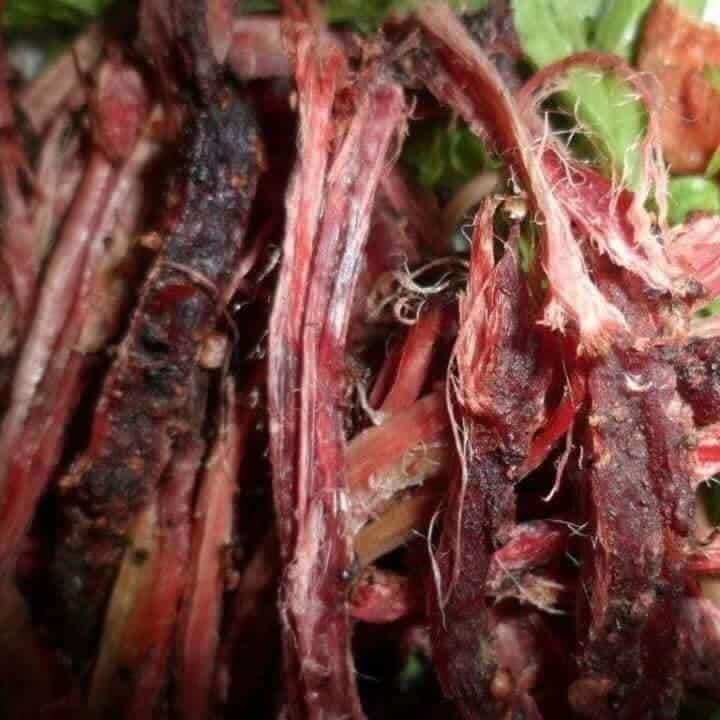 Thịt bò sấy gác bếp đặc sản tây bắc 500g