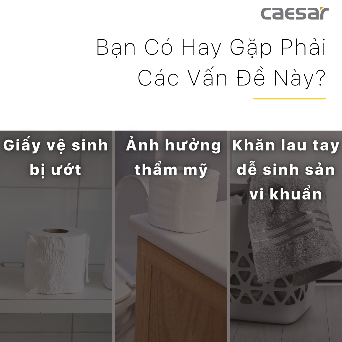 Toilet Paper Box - H101