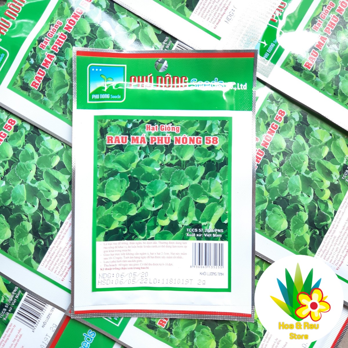 Hạt Giống Rau Má PN  - Gói 2g