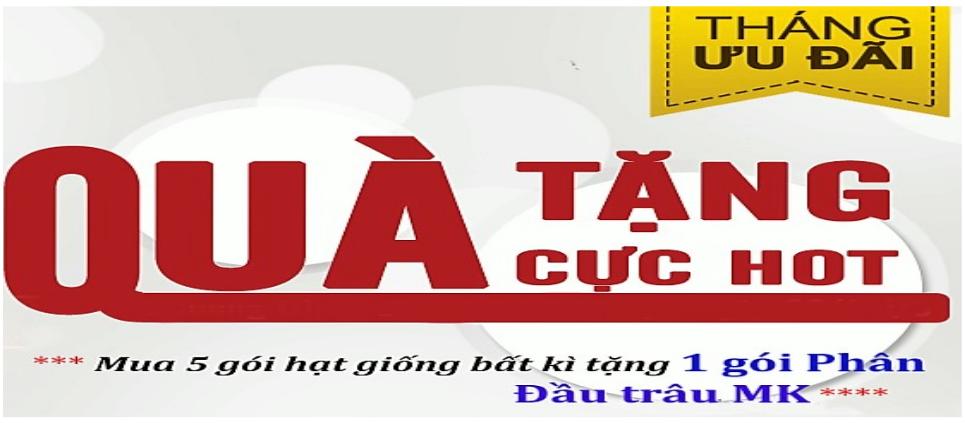 [HCM]DƯA GANG - HẠT GIỐNG THÁI - GÓI 200 HẠT .