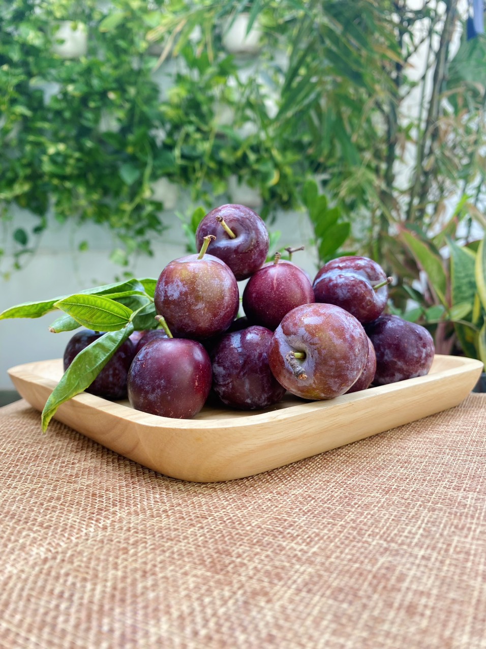 [Chỉ Giao HCM] Mận Cơm - 500g