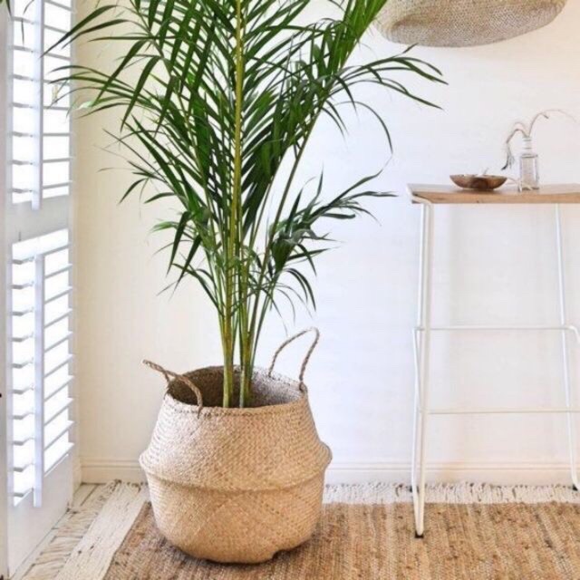 Giỏ Cói Sọt Cói Trồng Cây Đựng Đồ
