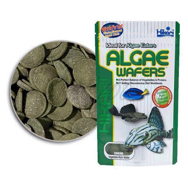 [HCM]Thức ăn cho cá lau kính cá chuột các loại cá ăn cỏ Hikari tropical Algae Wafers Nhật 250g