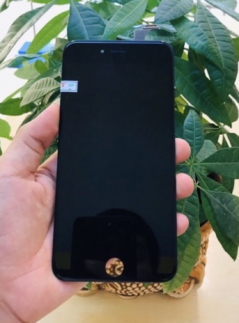 Màn hình IP 6 plus Zin máy. Bảo hành 3 tháng sử dụng