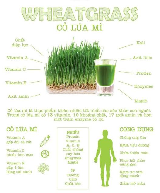 Bột cỏ lúa mì hữu cơ WHEAT GRASS 140gr - Raab