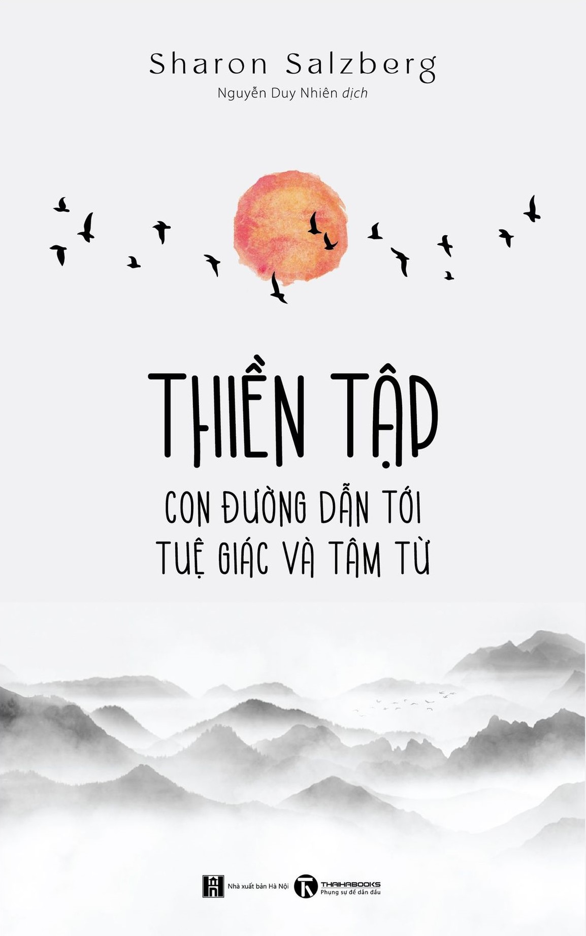 Sách - Thiền tập - Con đường dẫn tới tuệ giác và tâm từ