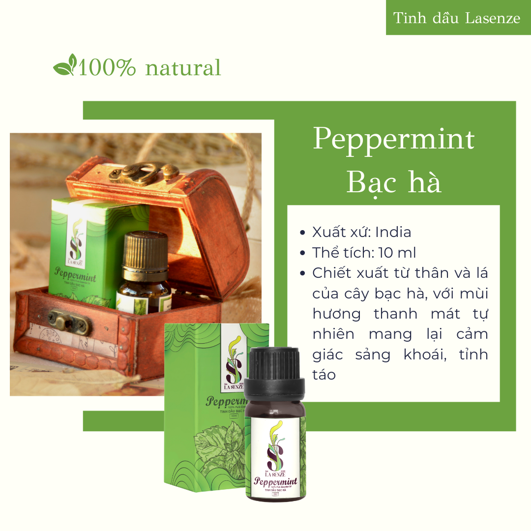Tinh dầu Bạc Hà (Peppermint) - 100% Natural