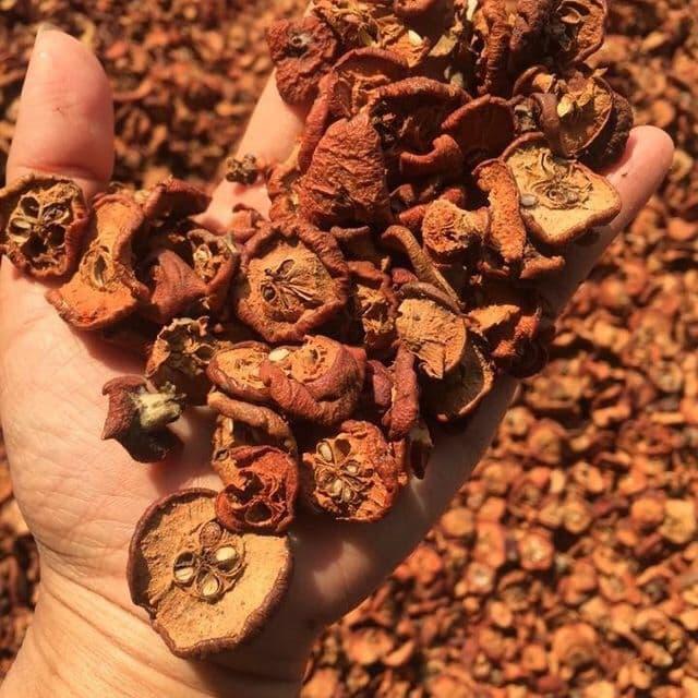 Táo mèo khô Yên Bái 1kg